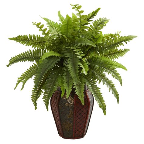 realistic artificial ferns